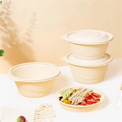 Boîte à lunch d'emballage biodégradable jetable elliptique